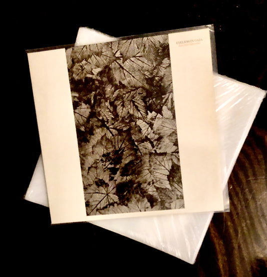 LP/12'' Protective Plastic Sleeves (100 pieces) (P1000)