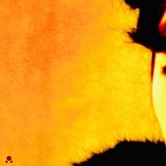 KAGAMI Smile - Your Ghost (Cassette) (BLOD#16)