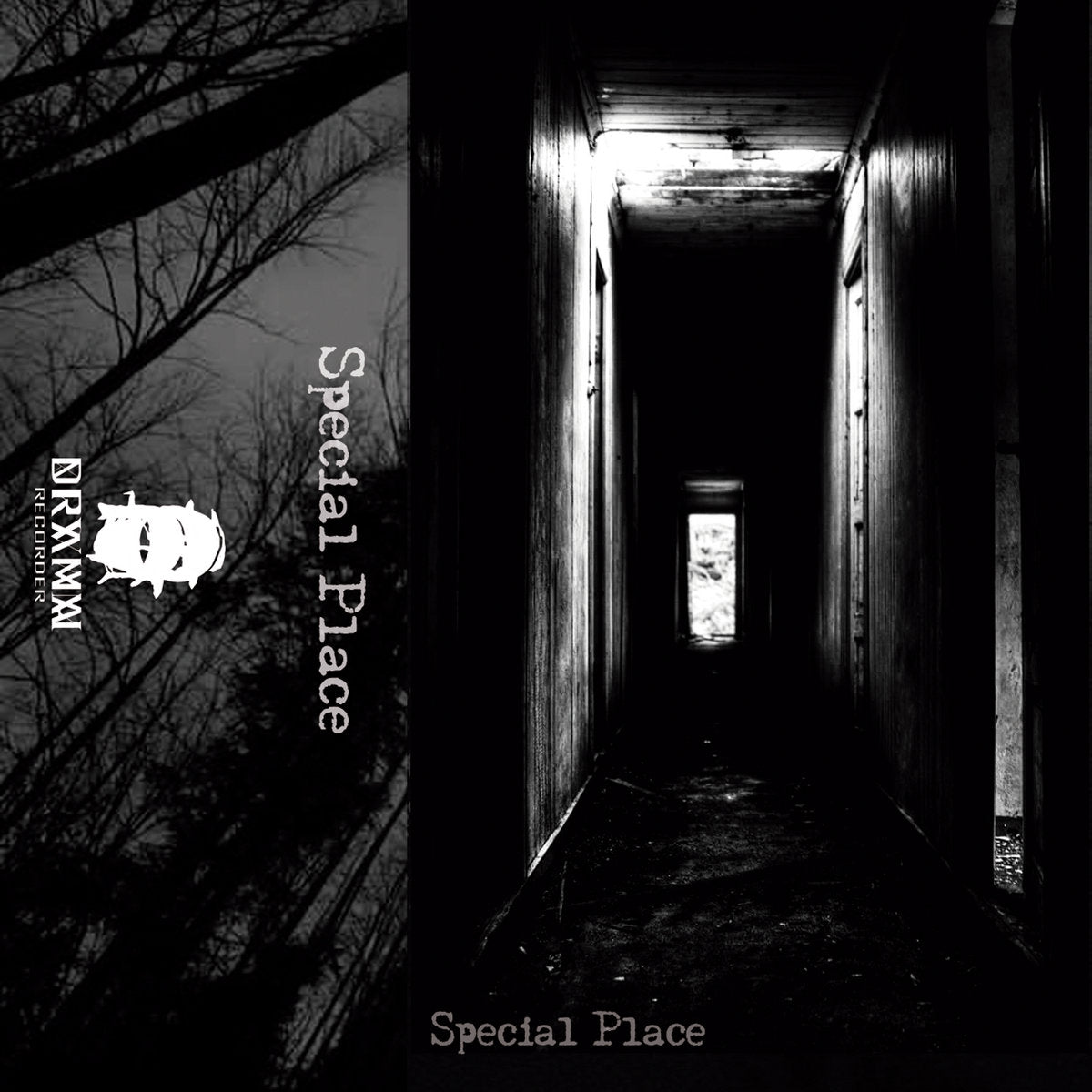 V/a - Special Place (Cassette) (DR105)