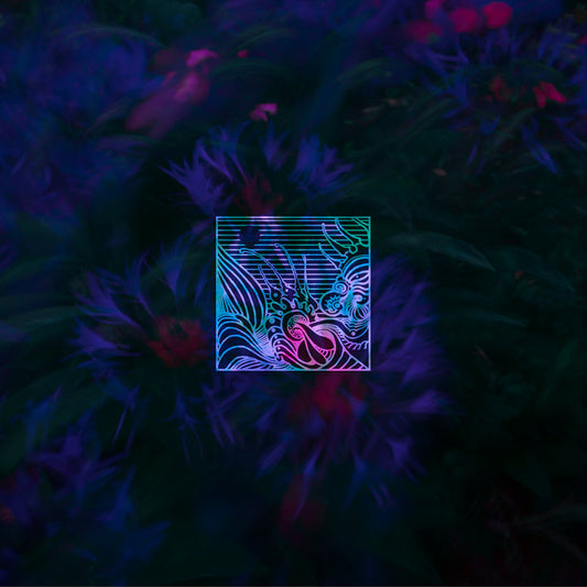 Abraço de Vapor - Nocturn I (CD) (LILA•AV°I)