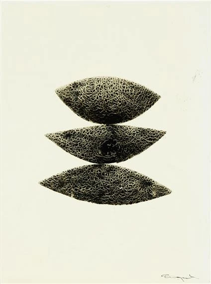 Ingvar Eriksson - Melon (Monochrome pigment print 38.9 x 28.8 cm)