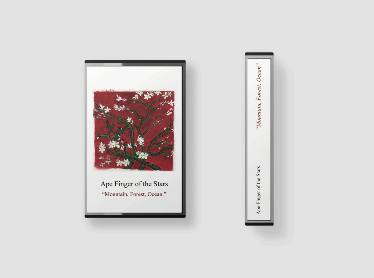 Ape Finger Of The Stars - Mountain, Forest, Ocean (Cassette) (Die-Brvecke-001)