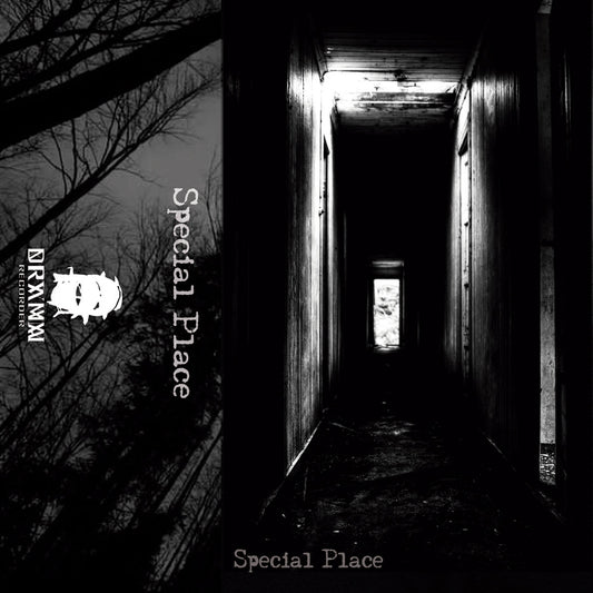 V/a - Special Place (Cassette) (DR105)